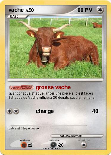 Pokemon vache