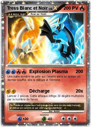 Pokemon Tress Blanc et Noir
