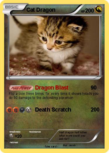 Pokemon Cat Dragon