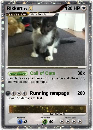 Pokemon Rikkert
