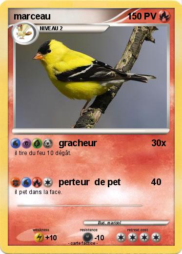 Pokemon marceau