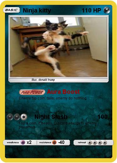 Pokemon Ninja kitty