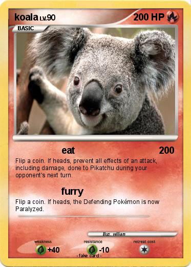 Pokemon koala