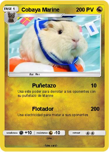 Pokemon Cobaya Marine
