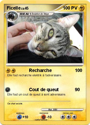 Pokemon Ficelle