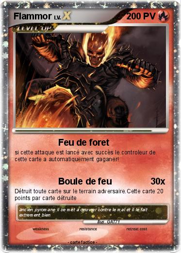 Pokemon Flammor