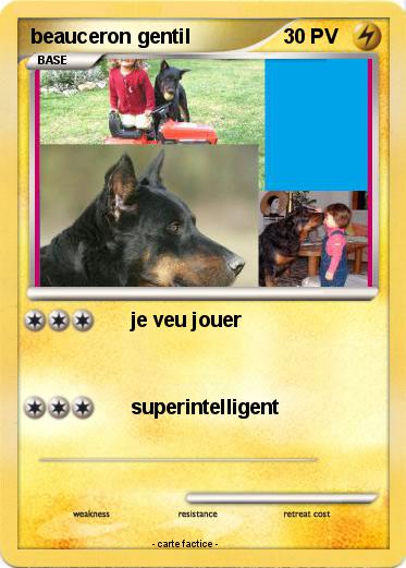 Pokemon beauceron gentil