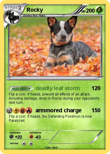 Pokemon Rocky