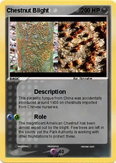 Pokemon Chestnut Blight