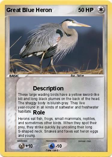Pokemon Great Blue Heron