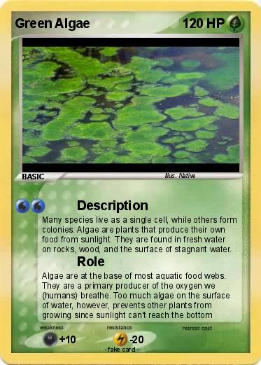 Pokemon Green Algae