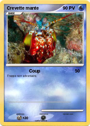 Pokemon Crevette mante