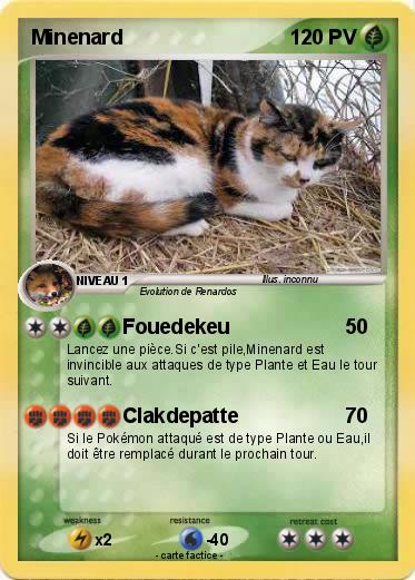 Pokemon Minenard