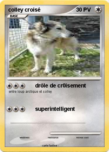 Pokemon colley croisé