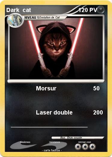 Pokemon Dark  cat
