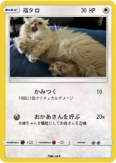 Pokemon 福タロ
