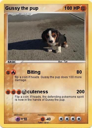 Pokemon Gussy the pup