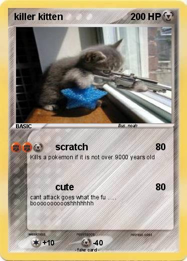 Pokemon killer kitten