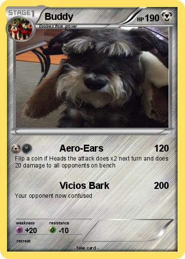 Pokemon Buddy