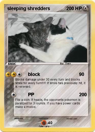 Pokemon sleeping shredders