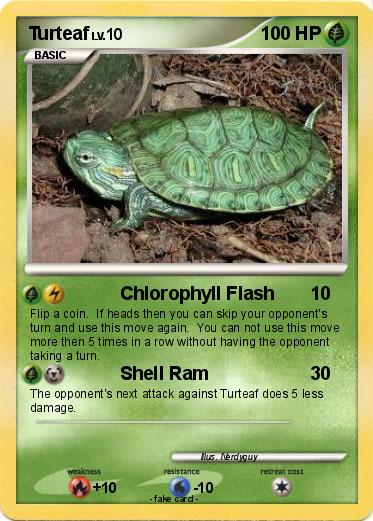 Pokemon Turteaf
