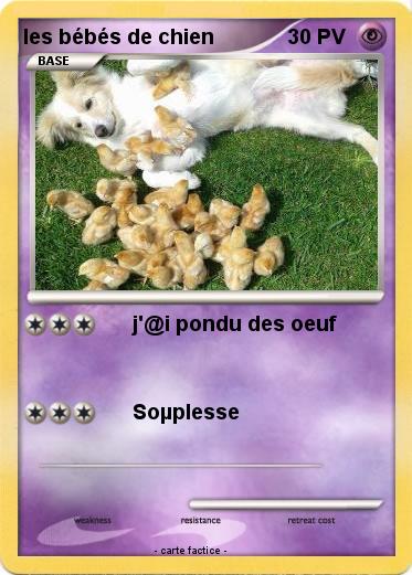 Pokemon les bébés de chien