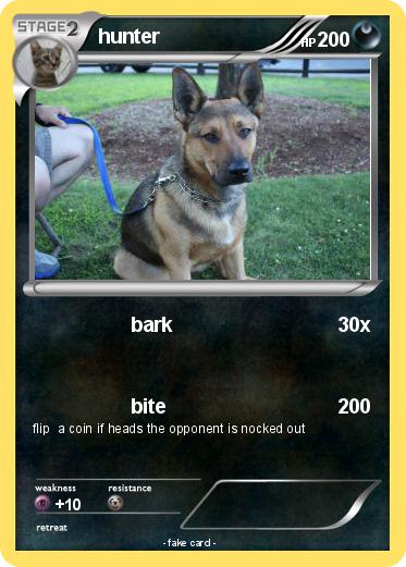 Pokemon hunter