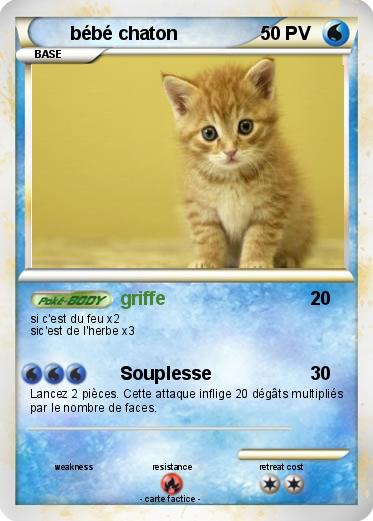 Pokemon bébé chaton