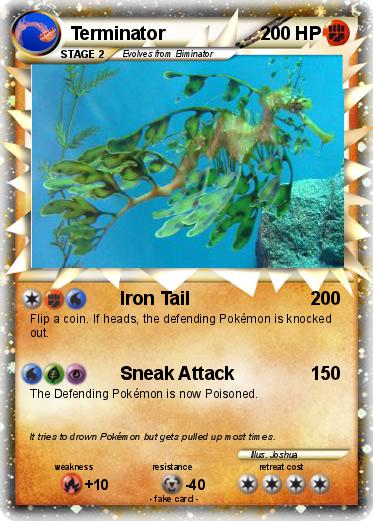 Pokemon Terminator