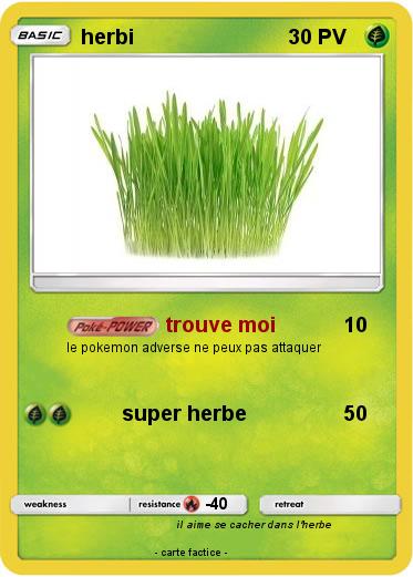 Pokemon herbi