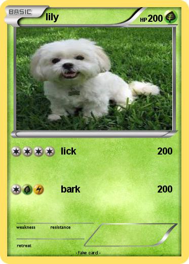 Pokemon lily