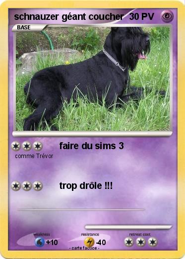 Pokemon schnauzer géant coucher