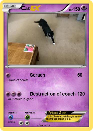 Pokemon Cat