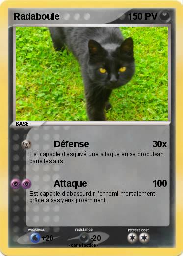 Pokemon Radaboule