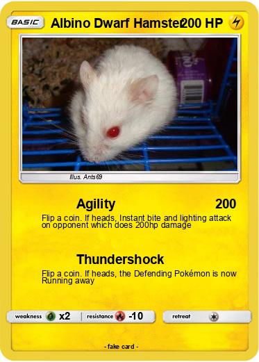 Pokemon Albino Dwarf Hamster