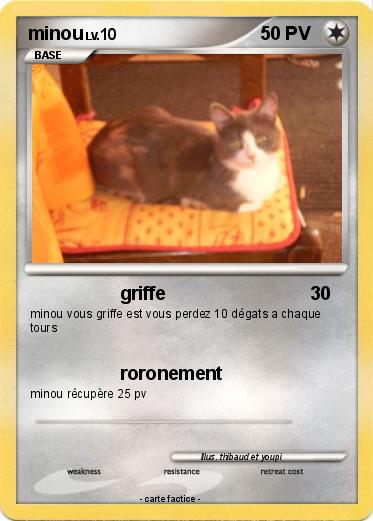 Pokemon minou