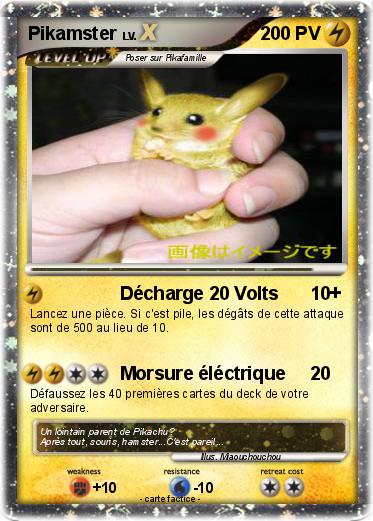 Pokemon Pikamster