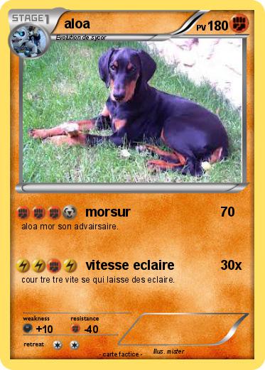 Pokemon aloa