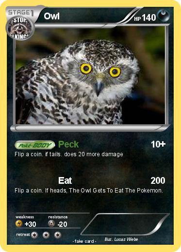 Pokemon Owl