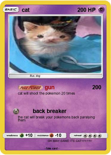 Pokemon cat
