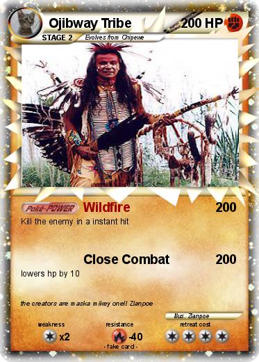 Pokemon Ojibway Tribe