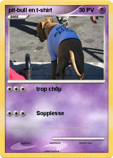 Pokemon pit-bull en t-shirt