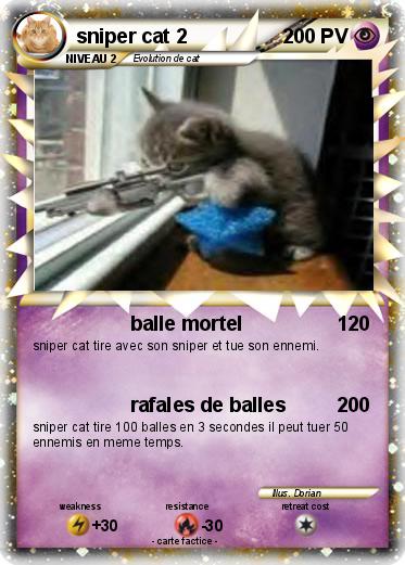 Pokemon sniper cat 2