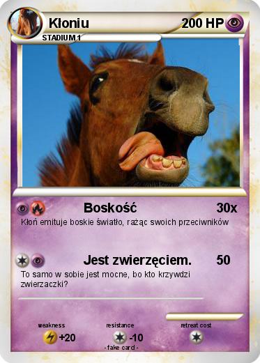 Pokemon Kłoniu