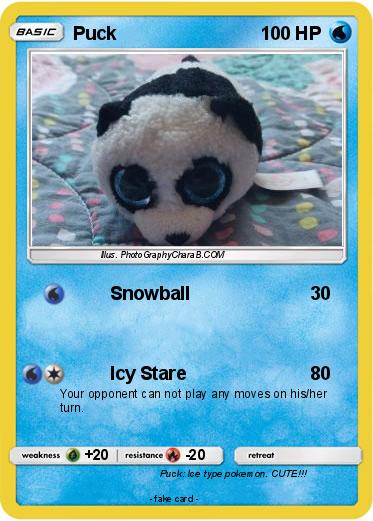 Pokemon Puck