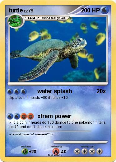 Pokemon turtle