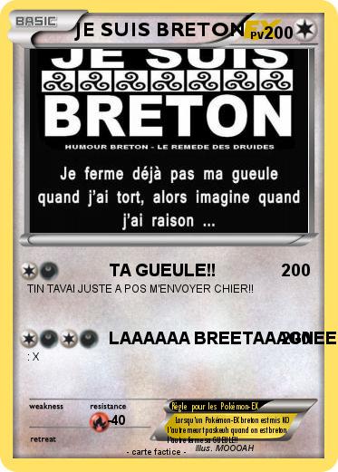 Pokemon JE SUIS BRETON