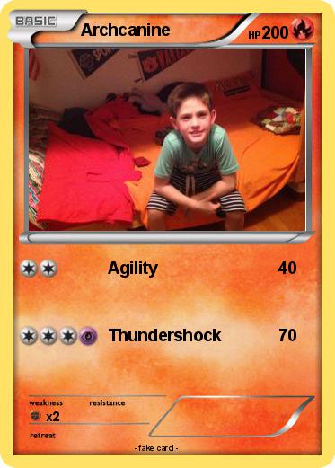 Pokemon Archcanine