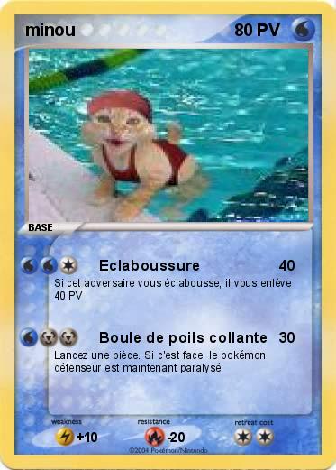 Pokemon minou