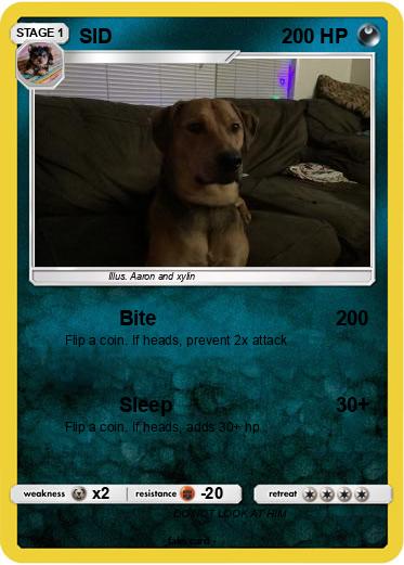 Pokemon SID